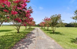 6104 Sisk Culbreth Road, Godwin, NC 28344