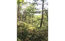 0 South South Fork Road, Stanton, KY 40380