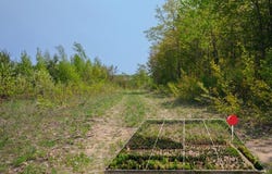 Lot 4 W Pendills Lake Road, Brimley, MI 49715
