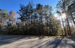 NW 148 Lane, WILLISTON, FL 32696