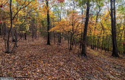 LUCAS HOLLOW RD, STANLEY, VA 22851