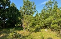 1 Thompson Rd, Bunnlevel, NC 28323