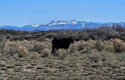Road H.6, Cortez, CO 81321