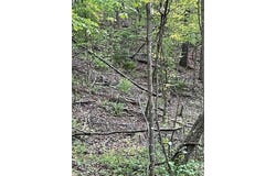 396 Ashley Lane, Athens, GA 30607