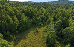 Lot #6 HIGHWAY 75, ONEONTA, AL 35121