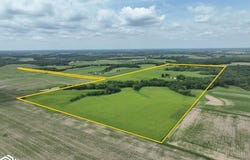 Olive, Fairfield, IA 52556