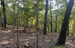 TBD Flathead Road, Gravois Mills, MO 65037
