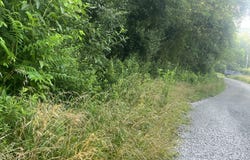 0 Sawmill Hollow RD, Williamsburg, KY 40769