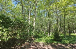 15 Hickory Hills Drive, White Haven, PA 18661