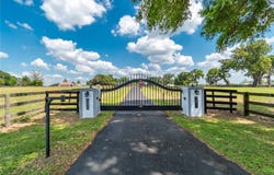13025 NW GAINESVILLE ROAD, REDDICK, FL 32686