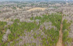 Highway 79 S lot: 48, Pine Bluff, AR 71603