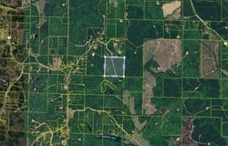 SKYVIEW LAKE ROAD lot: 0, COTTONDALE, AL 35453