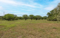 TBD CR 214 - Tract 3, Hallettsville, TX 77964