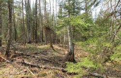 TBD Deerton-Sand Lake Road, Deerton, MI 49822