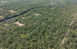 xyz NW 22nd Terrace, Jasper, FL 32052