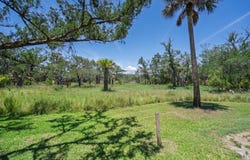 941 Hammocks Way, Edisto Island, SC 29438