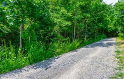 755 Priest Avenue, Jasper, TN 37347