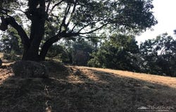 29151 Woodview Court, Tehachapi, CA 93561