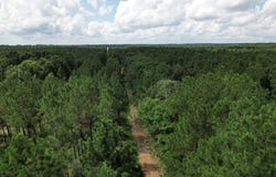Tbd County Road 3706, Tenaha, TX 75974