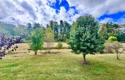 23 Strolling Easy, Flat Rock, NC 28731