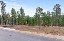 Lot 10 Blk 5 Meadow Wood Way, Lead, SD 57754