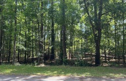 Lot 19 Robin Dr, Bamberg, SC 29003