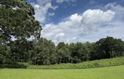 6552 Shoal Creek, Clermont, GA 30527