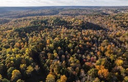 Askins Road, Fordsville, KY 42343