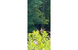 TBD Wetzel / Tyler Ridge, New Martinsville, WV 26155