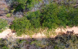 Lot 4 Bluffwood Road, Wagener, SC 29164