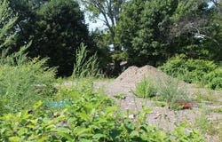 1297 U.S. 1, Littleton, ME 04730