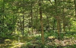 Tbd Outback Road, Barnett, MO 65011