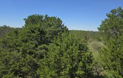 Mountain Dew, Horseshoe Bay, TX 78657