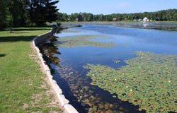 3906 Little Mack Drive, Mio, MI 48647