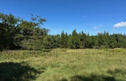 526 Castine Road, Castine, ME 04421
