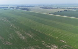 County 61, Browerville, MN 56438