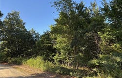 Tract C MC 5056, Everton, AR 72633