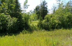 3 acres US 23 N, Ocqueoc, MI 49759