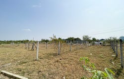 Ponsang, Prek Pnov, Phnom Penh