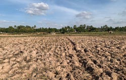 Basedth, Basedth, Kampong Speu