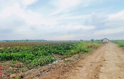 Roka Khpos, S'ang, Kandal