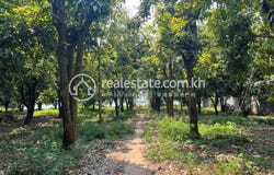 Thma Kor, Lvea Aem, Kandal