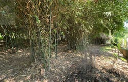 Setbou, S'ang, Kandal