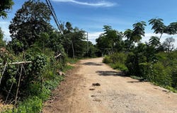 Ta Lon, S'ang, Kandal