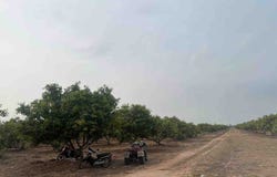 Samraong, Samraong, Oddar Meanchey