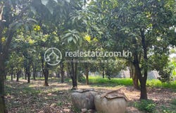 Thma Kor, Lvea Aem, Kandal