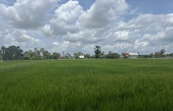 Krang Yov, S'ang, Kandal