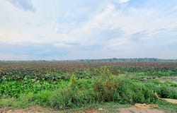 Roka Khpos, S'ang, Kandal