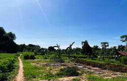 Ta Lon, S'ang, Kandal