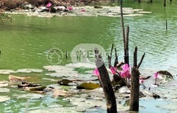 Kaev Phos, Stueng Hav, Sihanoukville